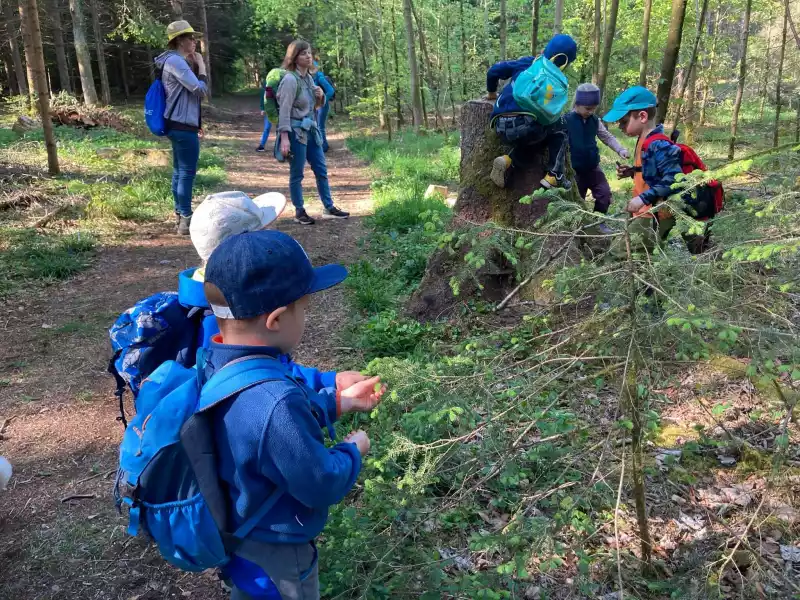 Waldeulen wanderten in Meggenthal