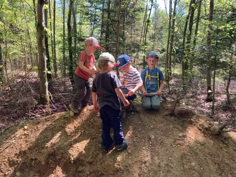 Waldeulen wanderten in Meggenthal