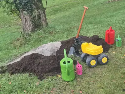 Baumpflanz-Challenge